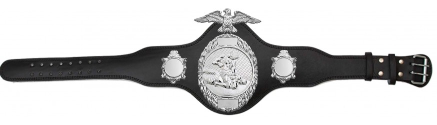 MMA CHAMPIONSHIP TITLE BELT-PLT288/S/MMAS-4 COLOURS MMA CHAMPIONSHIP TITLE BELT-PLT288/S/MMAS-4 COLOURS